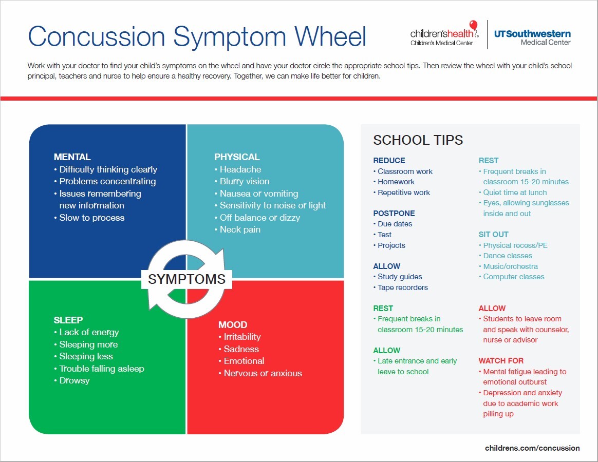 Concussion Symptom Wheel